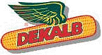dekalb corn